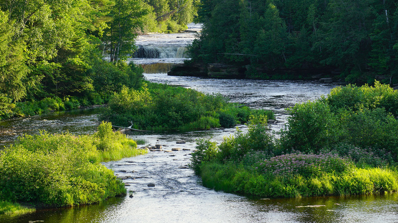 Lower Falls at Tahquamenon State Park