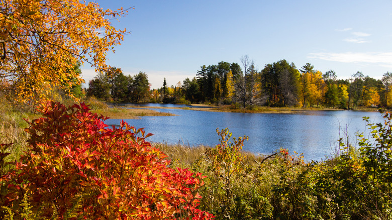 Fall colors along the auto tour trail of the Seney National Wildlife Refuge in the Upper Peninsula of Michigan