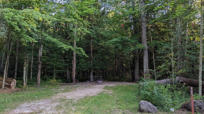 A quiet picnic area at a campsite at Black River State Forest Campground