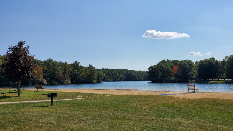 The scenic beach and picnic area with sand along the shore, grass behind it, and some picnic tables, benches, and grills for cooking