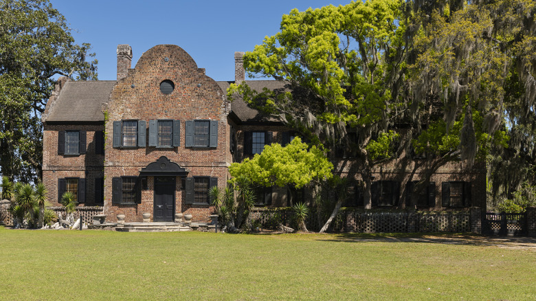 A view of the Middleton Place plantation and the large trees surrounding it