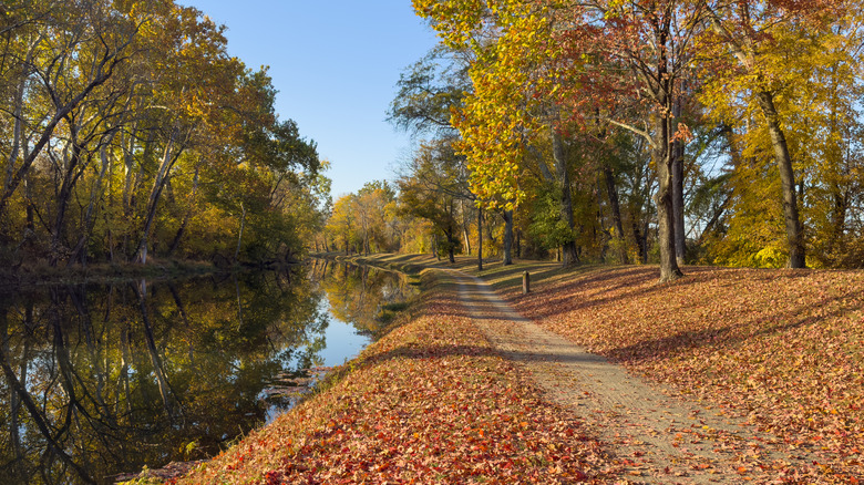 Walking path next to a lake, with fall foliage surrounding it