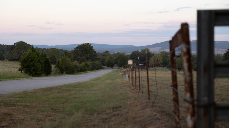 A beautiful and long backroad in Wister with grass and trees and mountains in the distance.