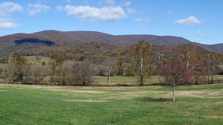 View of the Blue Ridge Mountains from a farm in Virginia on a fall day.