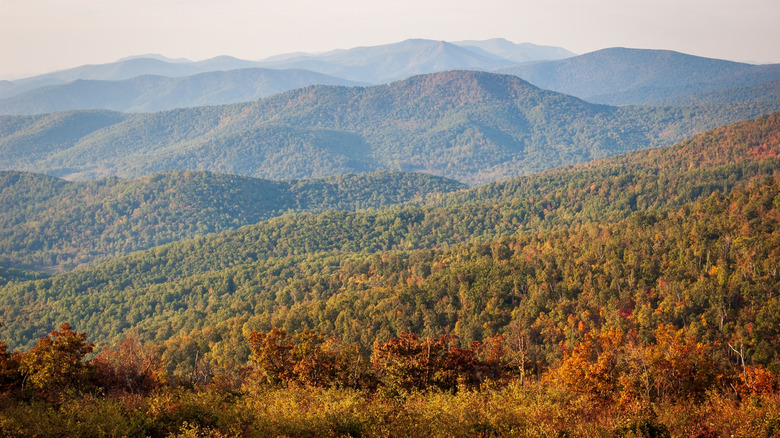 View of mountains in Shenandoah National Park in Virginia during the day.