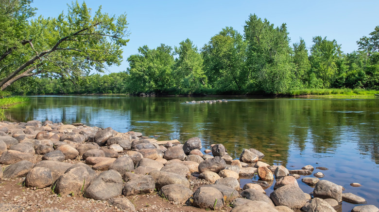 Rocks along the riverbank near trees