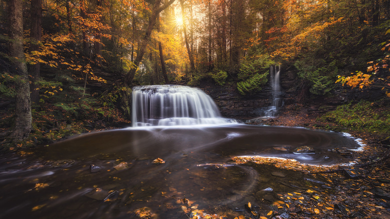 Small waterfall flowing into a pool in a dark autumnal forest