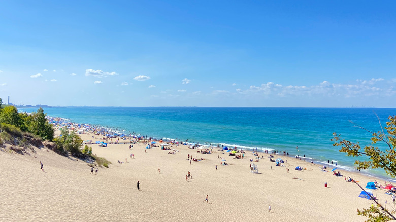 A view of people on the beach at Indiana Dunes National Park