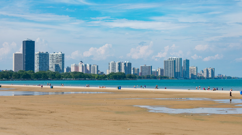 Montrose Beach in Chicago, showing sand and water with the city skyline in the background.