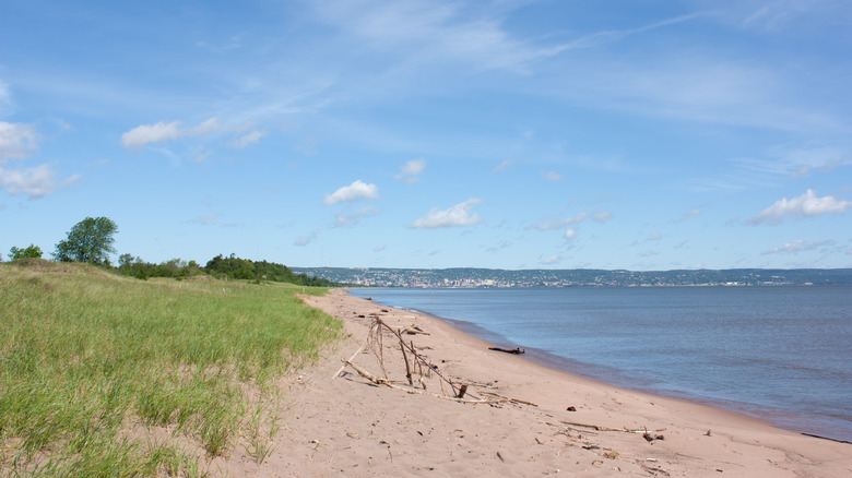 A sandy beach on Park Point Recreation Area, with grasses and trees in the background