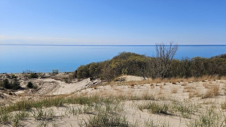 Grassy Dunes and Lake Michigan in the background at Warren Dunes State Park