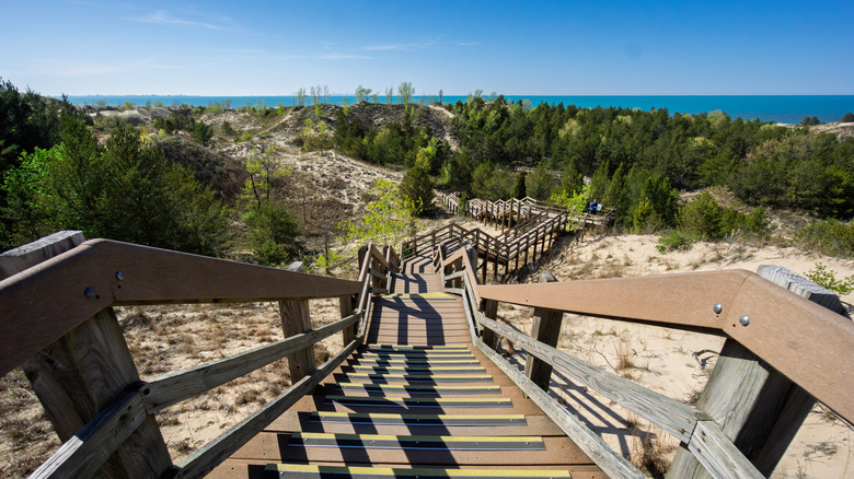Dune Succession Trail leading to West Beach in Indiana Dunes National Park