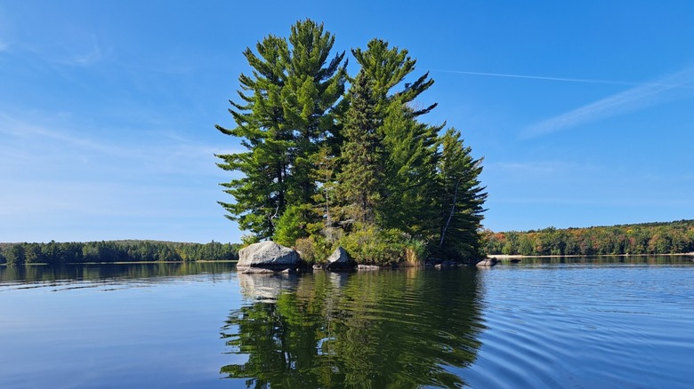 A tiny island with tall green trees in the middle of Eagle Lake at Mikisew Provincial Park, Ontario
