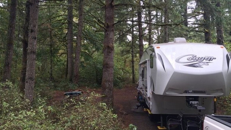 A travel trailer in an RV at campsite in Milo McIver State Park