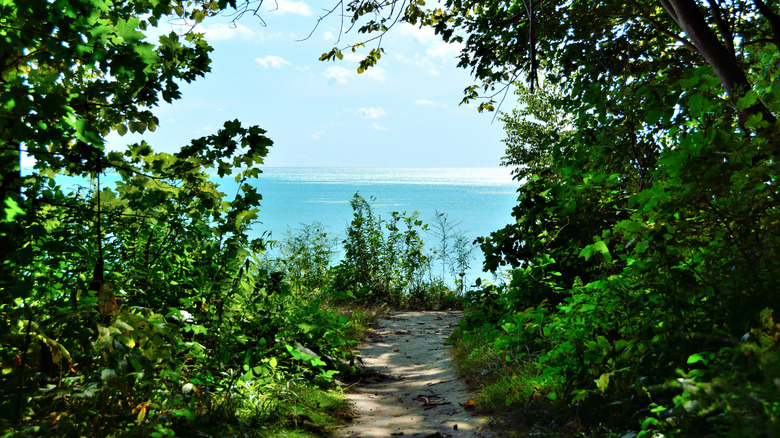 A view along a pathway in Grant Park through green shrubs and trees out over Lake Michigan.
