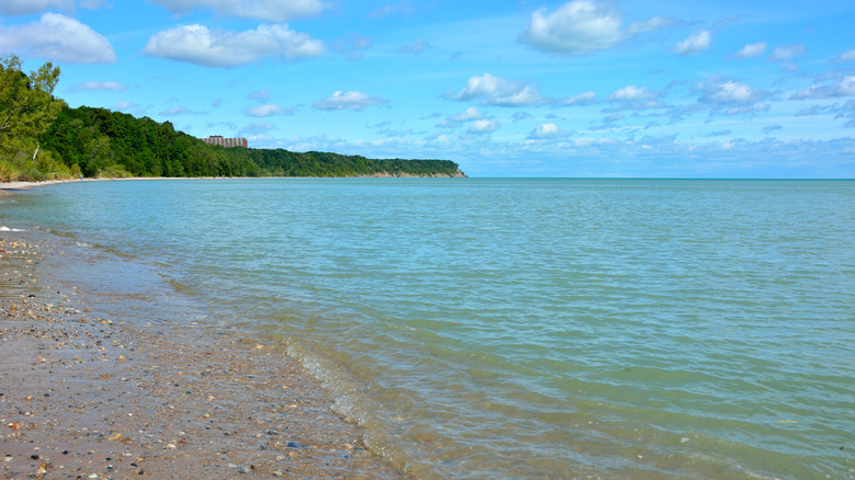 The sandy and pebbly shoreline at Grant Park Beach with calm Lake Michigan water and distant lake bluffs covered in trees.