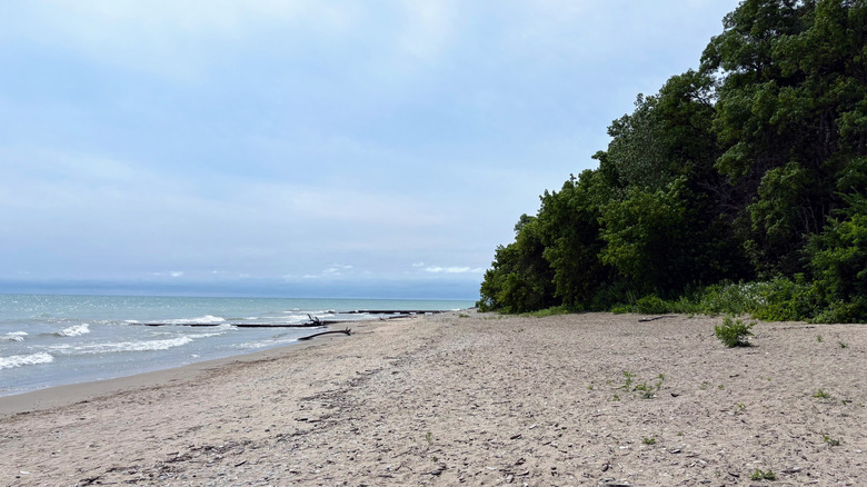 Remote beach in Doctor's Park with cloudy skies
