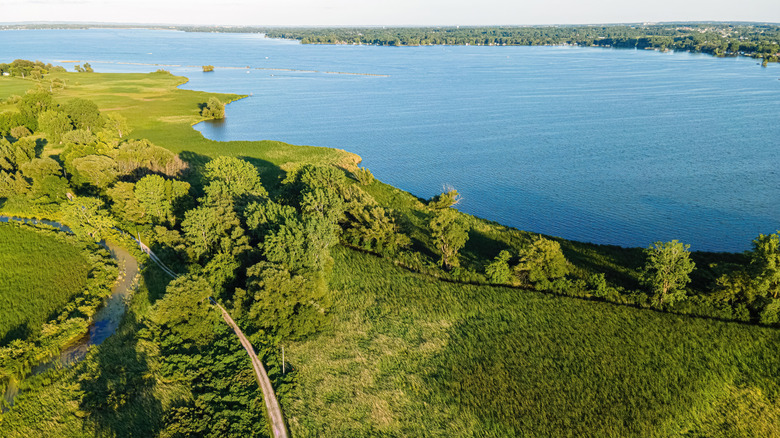 Expanse of greenery adjutting on the lake shore in Fox Point