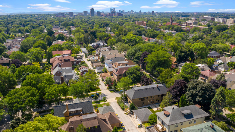 Houses and trees lining the streets of Shorewood