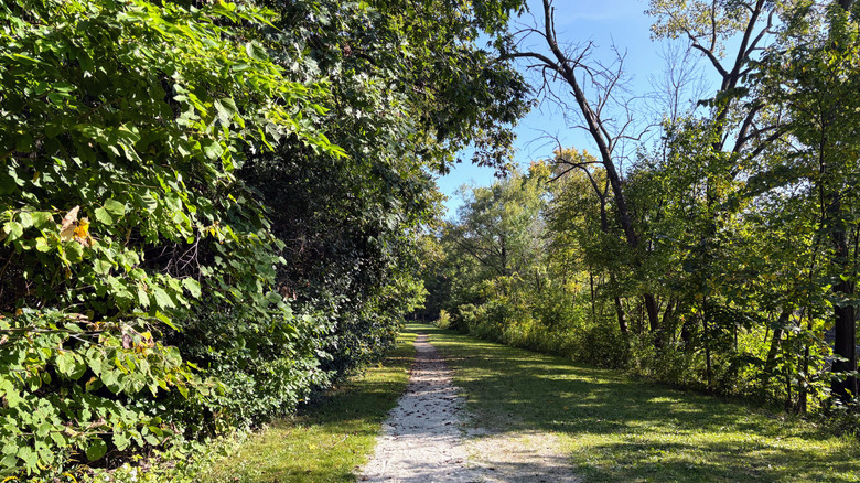 Bike trail surrounded by trees in Hubbard Park
