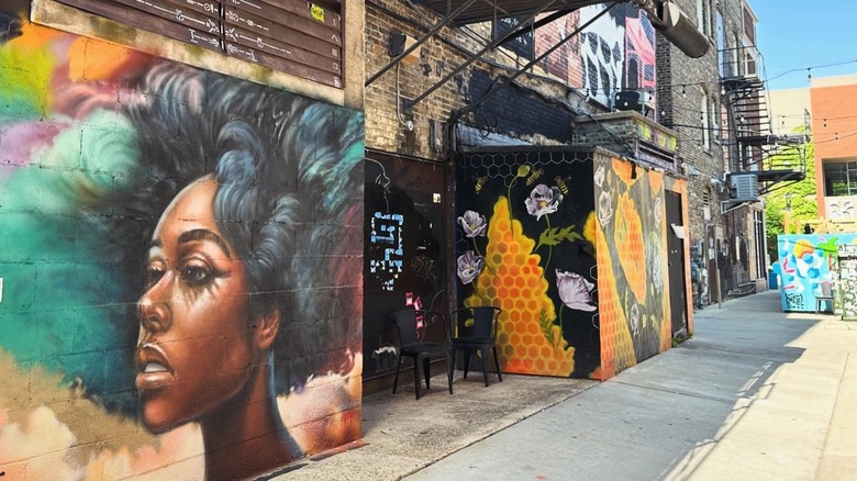 Murals in the Black Cat Alley, Milwaukee, Wisconsin