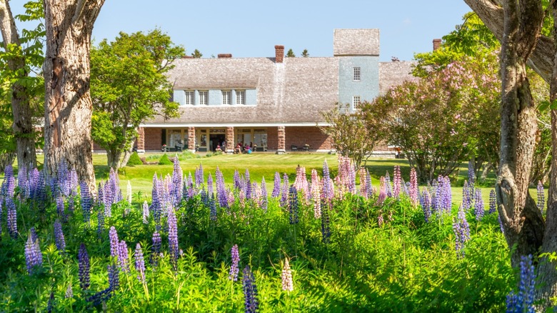 historic estate with trees and lavender-colored lupins in the foreground