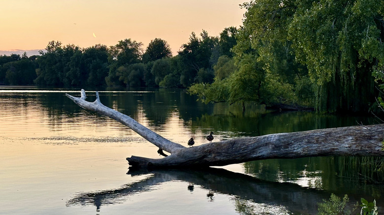Lake Nokomis at sunset