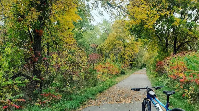 a mountain bike on a paved trail in the woods
