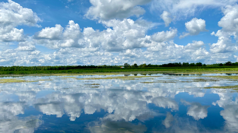 Clouds reflected in water of lake at Mille Lacs Kathio State Park
