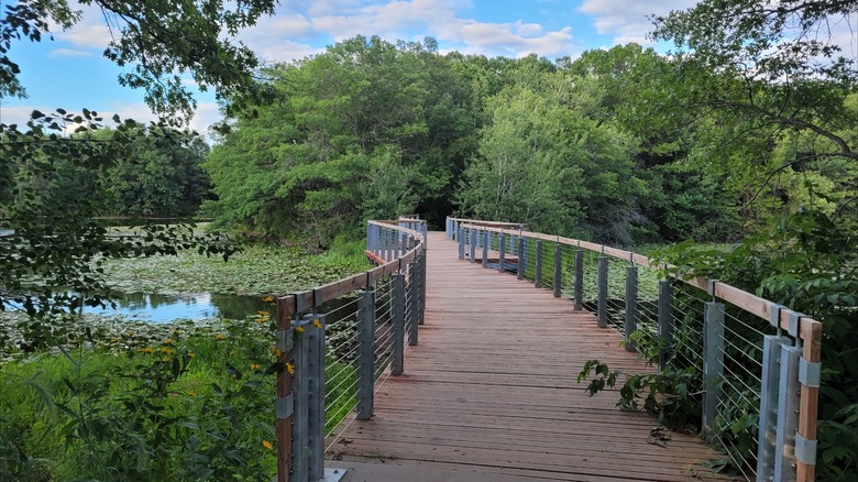 A wooden boardwalk bridge over a lake surrounded by greenery at Lebanon Hills Regional Park, Minnesota