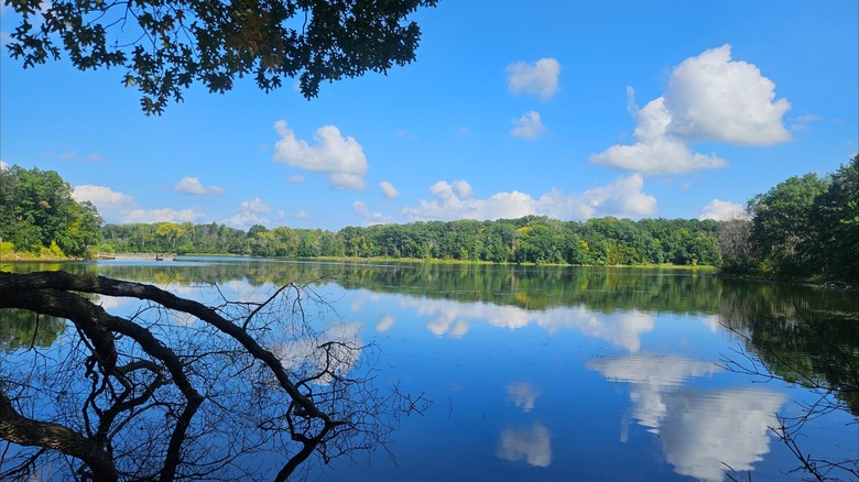 Calm waters of a lake at Lebanon Hills Regional Park, Minnesota, mirroring the sky and greenery