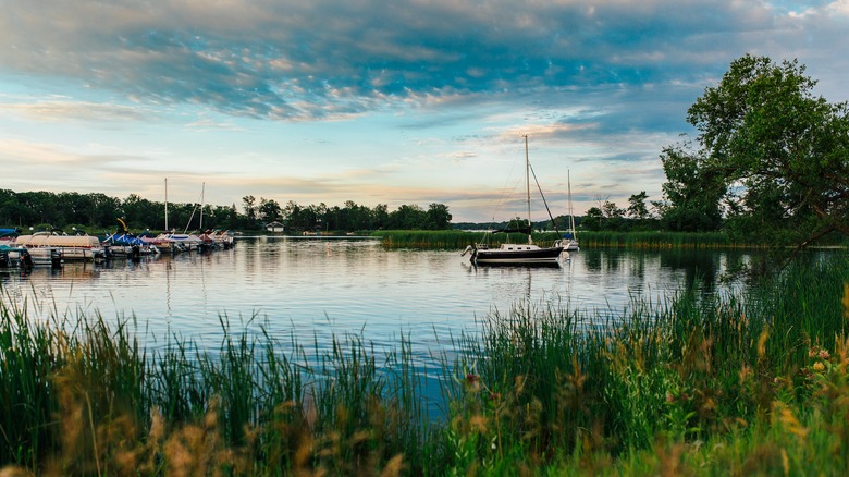 sailboat and pontoon boats docked on a lake in Detroit Lakes, Minnesota