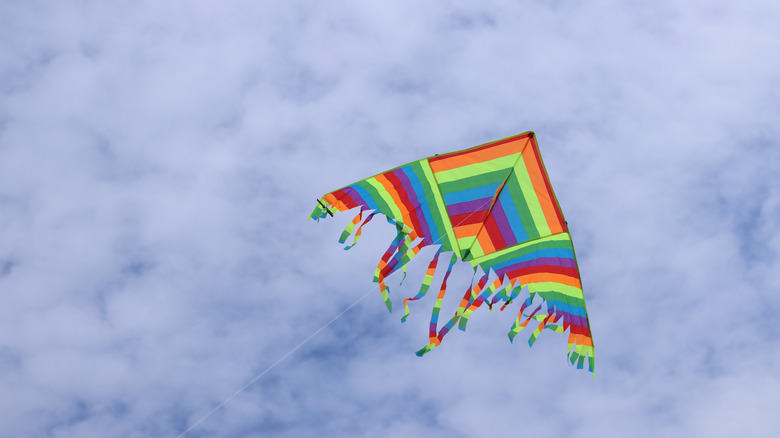 Bright kite against the cloudy sky