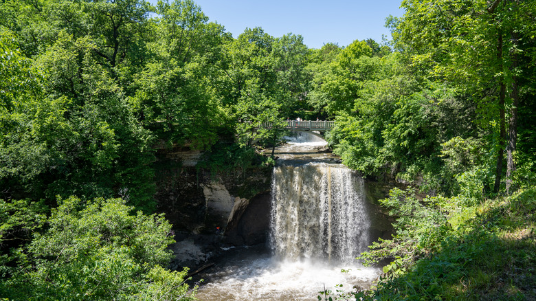 Waterfall surrounded by trees