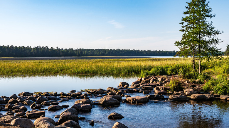 Rocks at headwaters of river near reeds in lake
