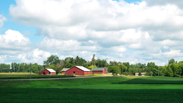 Lush green agricultural fields surround a small farm in Fairmont, Minnesota