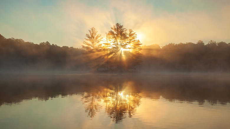 Minnesota lake and trees bathed in golden light