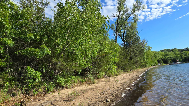 Yellow sand and green trees and water at the lakeside of Little Carnelian Lake in Stillwater, Minnesota