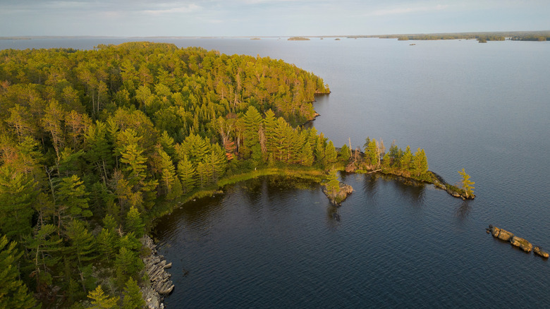Forest and trees at a peninsula on the shoreline of Rainy Lake, Minnesota