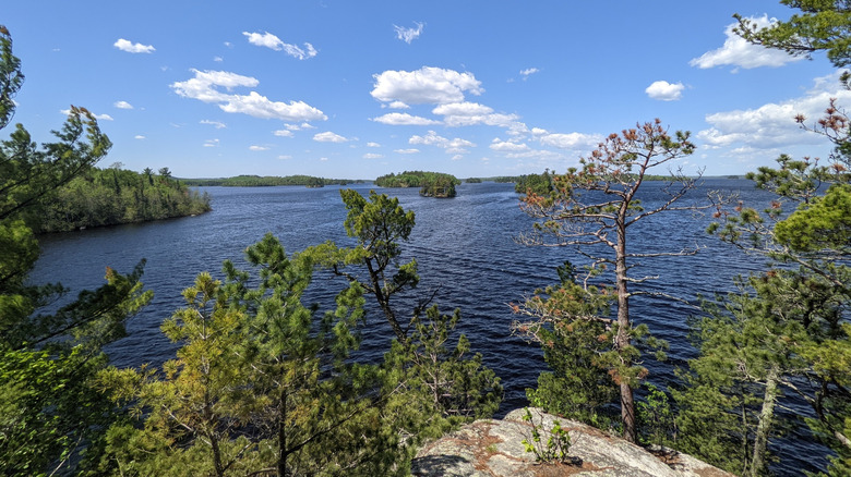 Trees near an overlook at Lake Vermilion in northern Minnesota