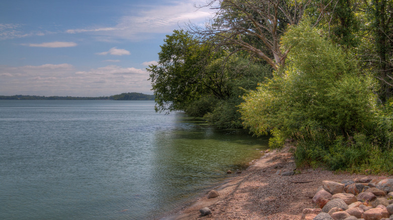 Blue water and trees at Lake Shetek in Minnesota