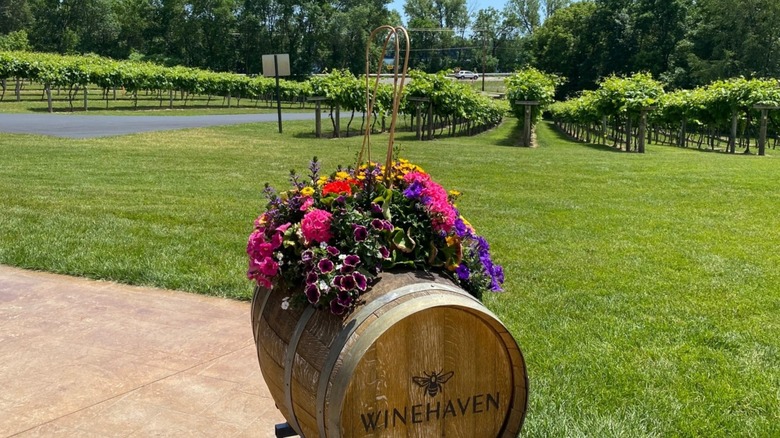 A Winehaven Winery branded barrel with flowers on top and vineyards in the background, Chisago, Minnesota
