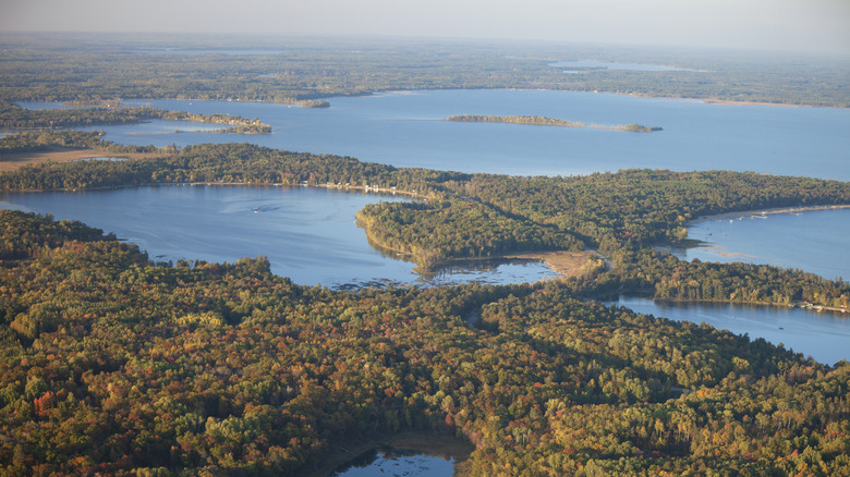 Bird's eye view of forest and lakes with islands