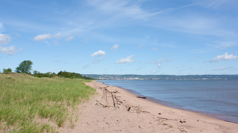 Sandy beach and grassy dunes on lakeshore