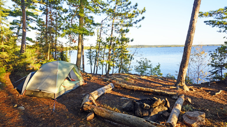 Tent and fire grate at rustic campsite on Saganaga Lake