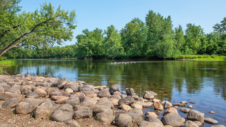 St. Croix State Park in Minnesota