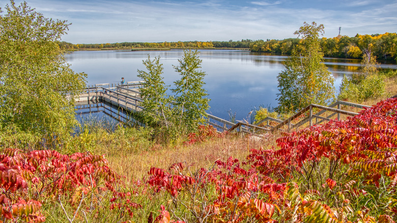 Colorful foliage along the waterfront at Lake Bronson State Park in Minnesota