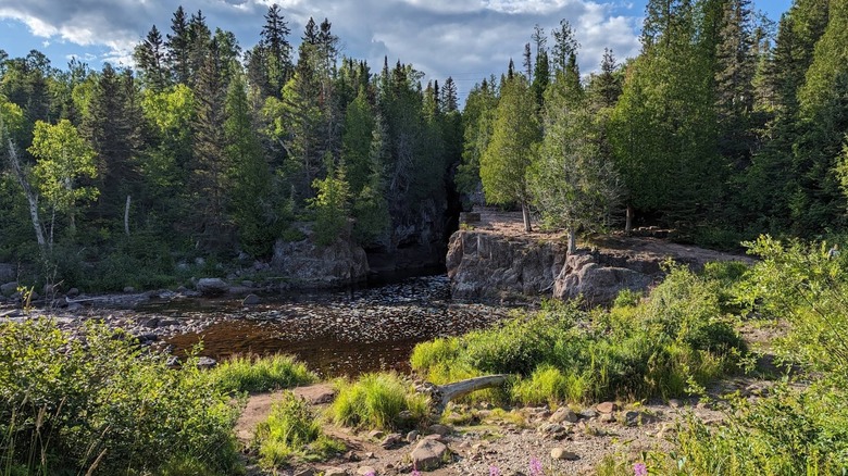 Trail in Temperance River State Park.