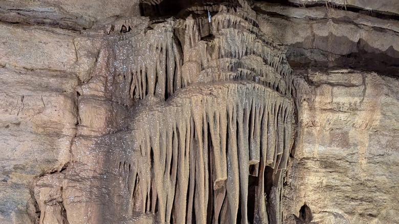 Exploring the cave at Forestville/Mystery Cave State Park