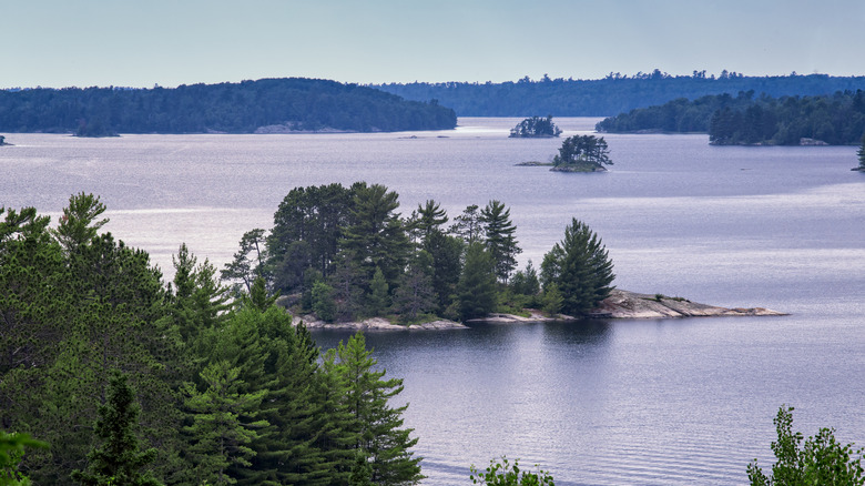 Island with trees in lake